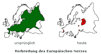 Verbreitung von Mustela lutreola - damals und heute